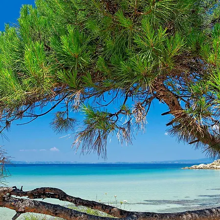 シークレット パラダイス ホテル&スパ Chalkidiki