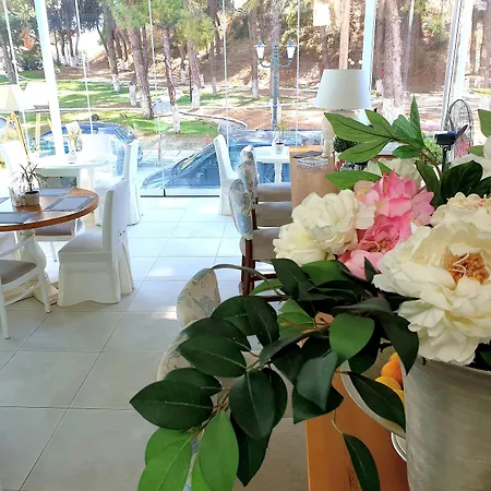 Secret Paradise & (adults Only) Hotel Chalkidiki